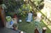 16-Back Yard