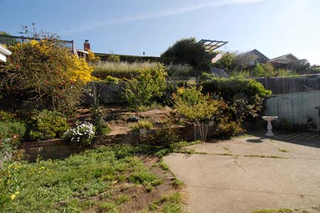 748 Cottonwood 09_DSC5177a